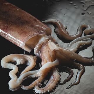 Kaido Sushi Bar - 1