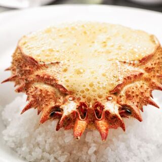 Bistro Fatal - 2