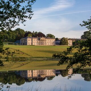 Ballyfin - 4