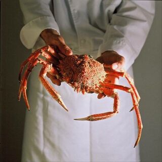Le Kaïku - 3