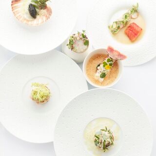 Cocotte - 4