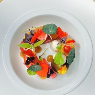 Cheal's - 9